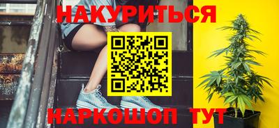 гидра Братск